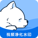 视频去水印专家