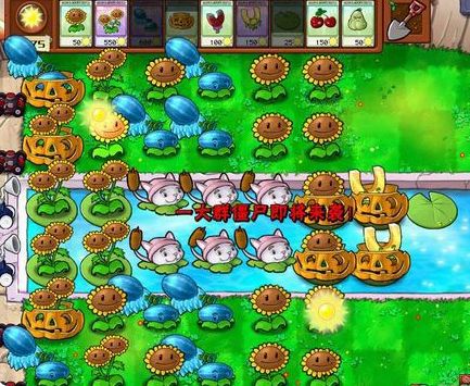 植物大战僵尸95版直装版