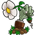 植物大战僵尸无尽破解版