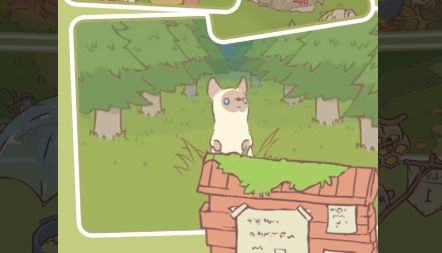 猫汤物语免广告游戏截图