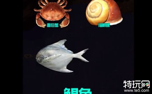 赶海王免实名认证游戏截图
