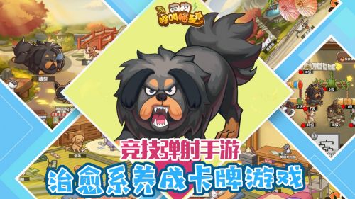 狗狗呼叫喵星官网