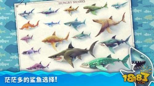 饥饿鲨世界1000亿珍珠下载