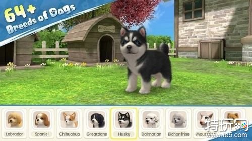 梦幻2小狗狗手机安卓版下载游戏截图
