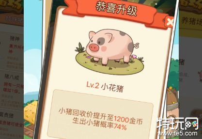 幸福快乐养猪场红包版下载 v1游戏截图
