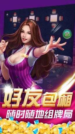丽水茶苑丽水双扣游戏截图