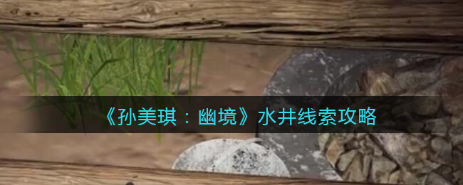 《孙美琪疑案：幽境》五级线索攻略——水井