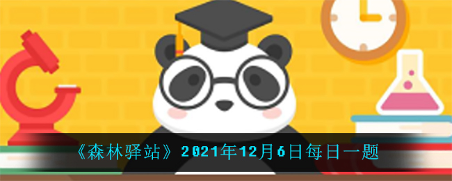 《森林驛站》2021年12月6日每日一題