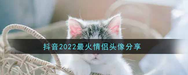 抖音2022最火情侶頭像分享