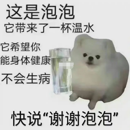 謝謝泡泡是什么梗