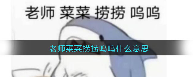 老師菜菜撈撈嗚嗚什么意思