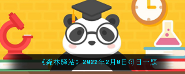 《森林驛站》2022年2月8日每日一題