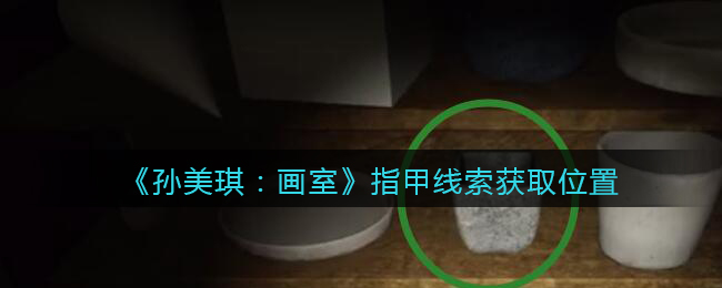 《孙美琪疑案：画室》三级线索——指甲