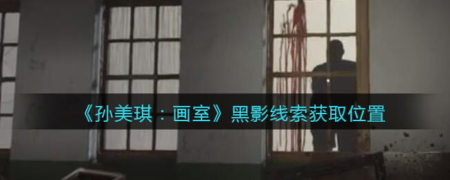 《孙美琪疑案：画室》三级线索——黑影