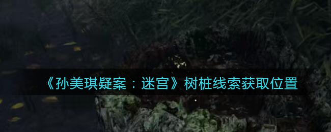 《孙美琪疑案：迷宫》五级线索——树桩