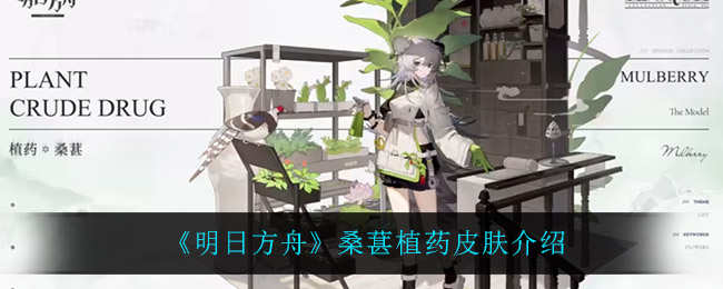 《明日方舟》桑葚植药皮肤介绍