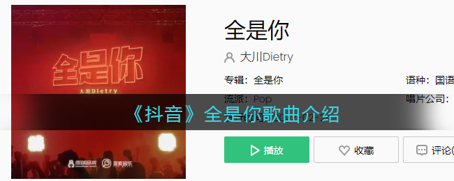 《抖音》全是你歌曲介紹