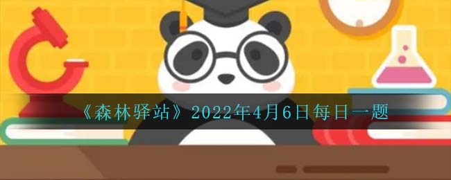 《森林驛站》2022年4月6日每日一題