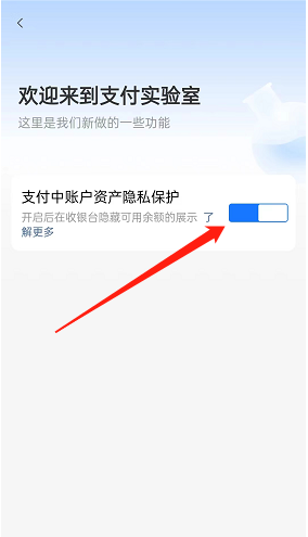 《支付寶》賬戶資產(chǎn)隱藏保護(hù)開啟方法