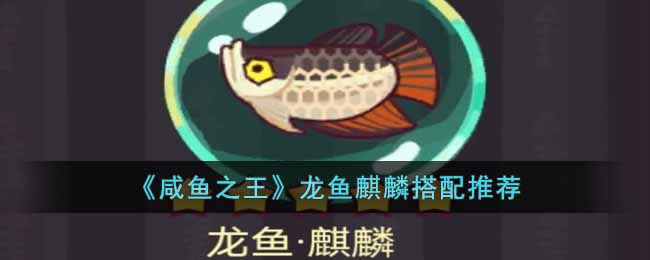 《咸魚之王》龍魚麒麟搭配推薦