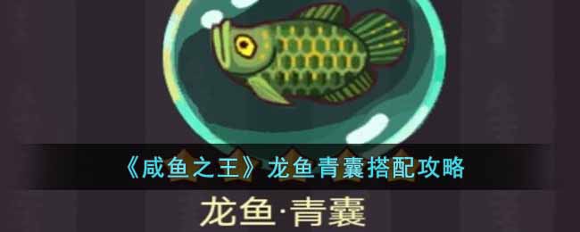 《咸魚之王》龍魚青囊搭配攻略