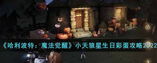 《哈利波特：魔法觉醒》11.3小天狼星生日彩蛋攻略2022