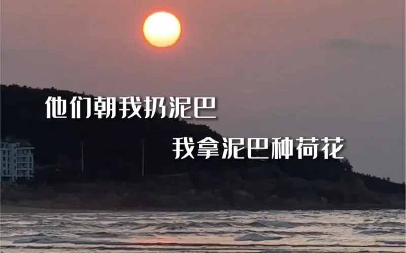 《抖音》他們朝我扔泥巴是什么梗