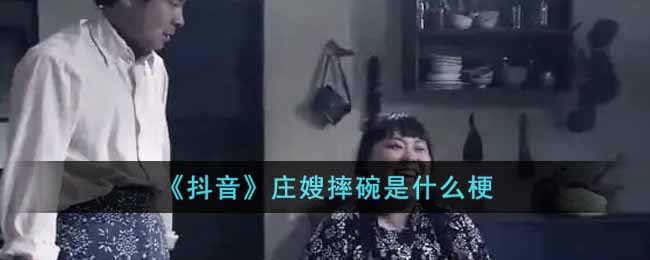 《抖音》莊嫂摔碗是什么梗