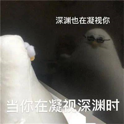 馬兆海鷗是什么梗