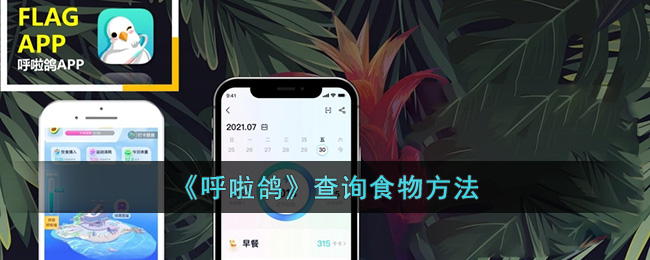 《呼啦鴿》查詢食物方法