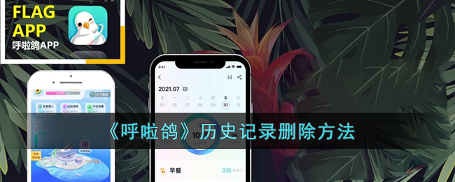 《呼啦鴿》歷史記錄刪除方法