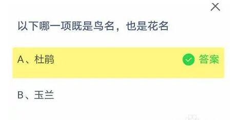 以下哪一項(xiàng)既是鳥名，也是花名
