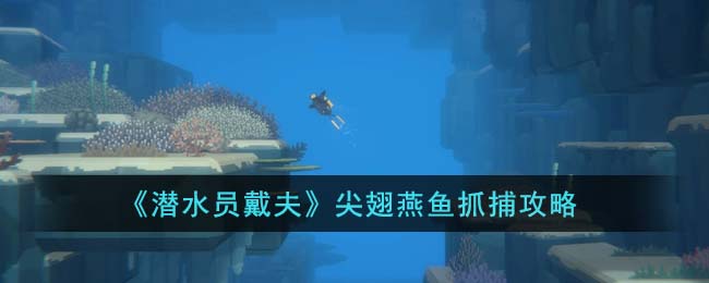 《潛水員戴夫》尖翅燕魚(yú)抓捕攻略