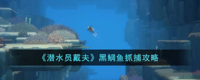 《潛水員戴夫》黑鯛魚抓捕攻略