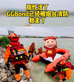 解救GG bond梗含義介紹