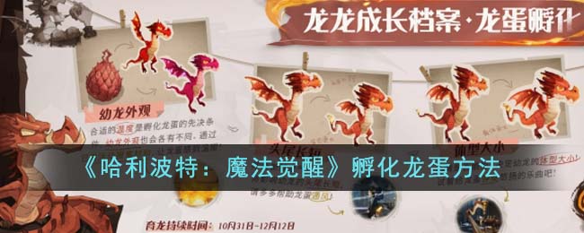 《哈利波特：魔法覺醒》孵化龍蛋方法