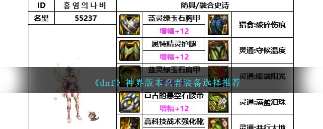 《dnf》神界版本忍者裝備選擇推薦