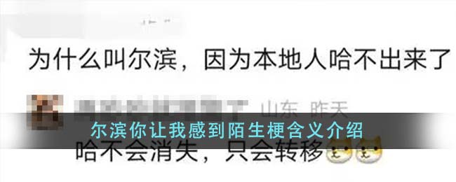 爾濱你讓我感到陌生梗含義介紹