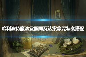 电影哈利波特魔法觉醒阿瓦达索命咒如何搭配?